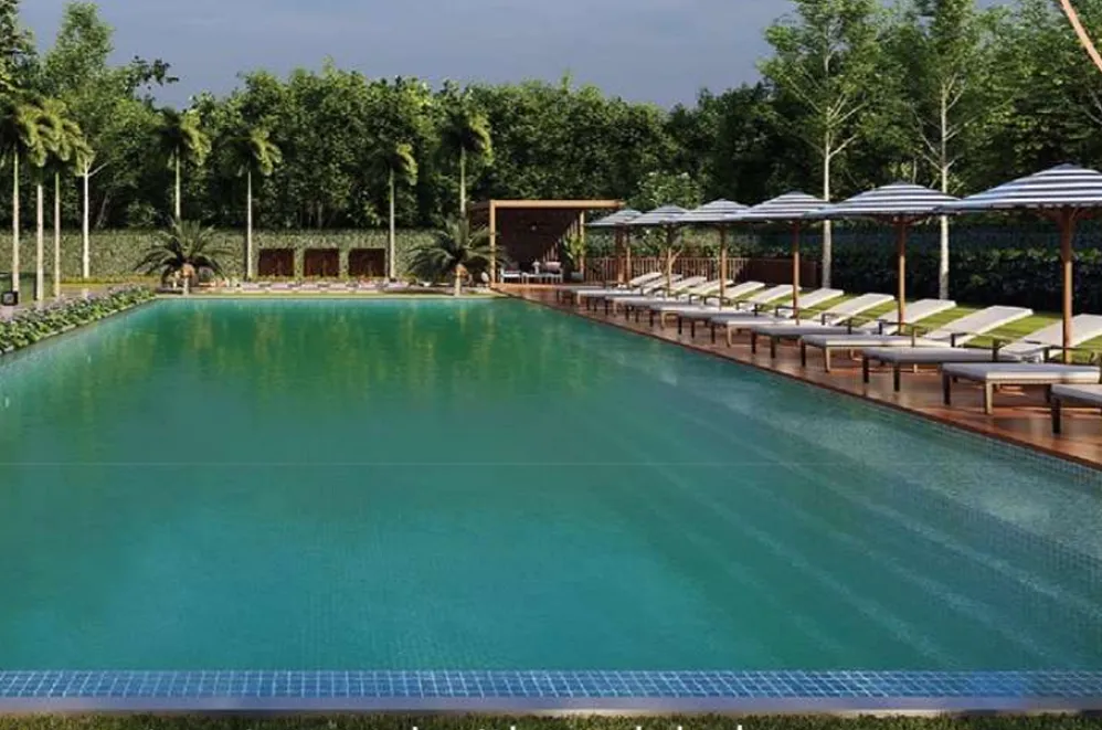 Swimming Pool 25 Meter - Olympic Standard